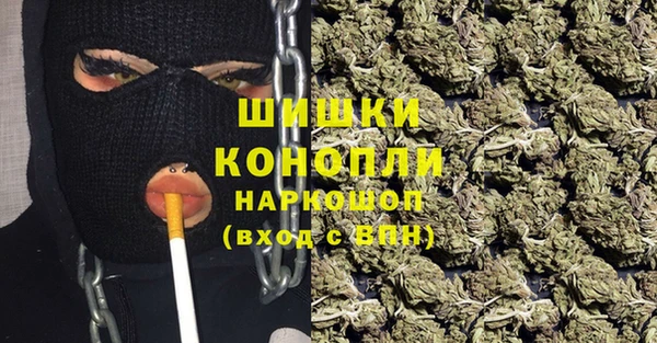 МДПВ Костерёво