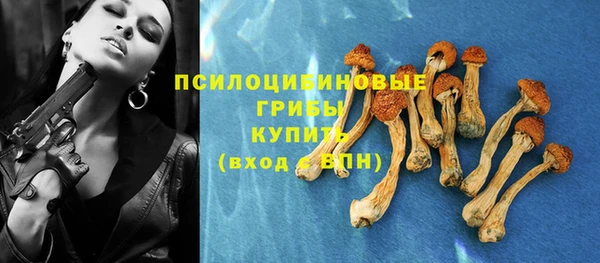 МДПВ Костерёво