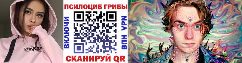 даркнет сайт  Камышин  ОМГ ОМГ сайт  Галлюциногенные грибы MAGIC MUSHROOMS 