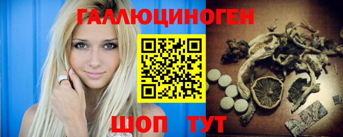 Псилоцибиновые грибы MAGIC MUSHROOMS  что такое   Камышин  Вход с VPN 