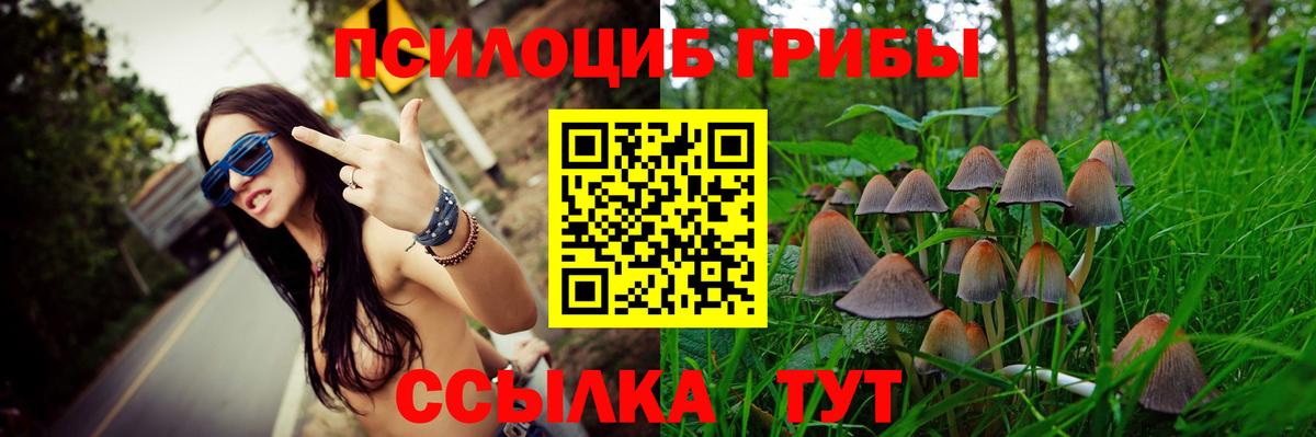 Псилоцибиновые грибы MAGIC MUSHROOMS Камышин